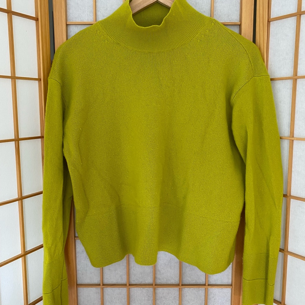 Everlane Cashmere Square Turtleneck